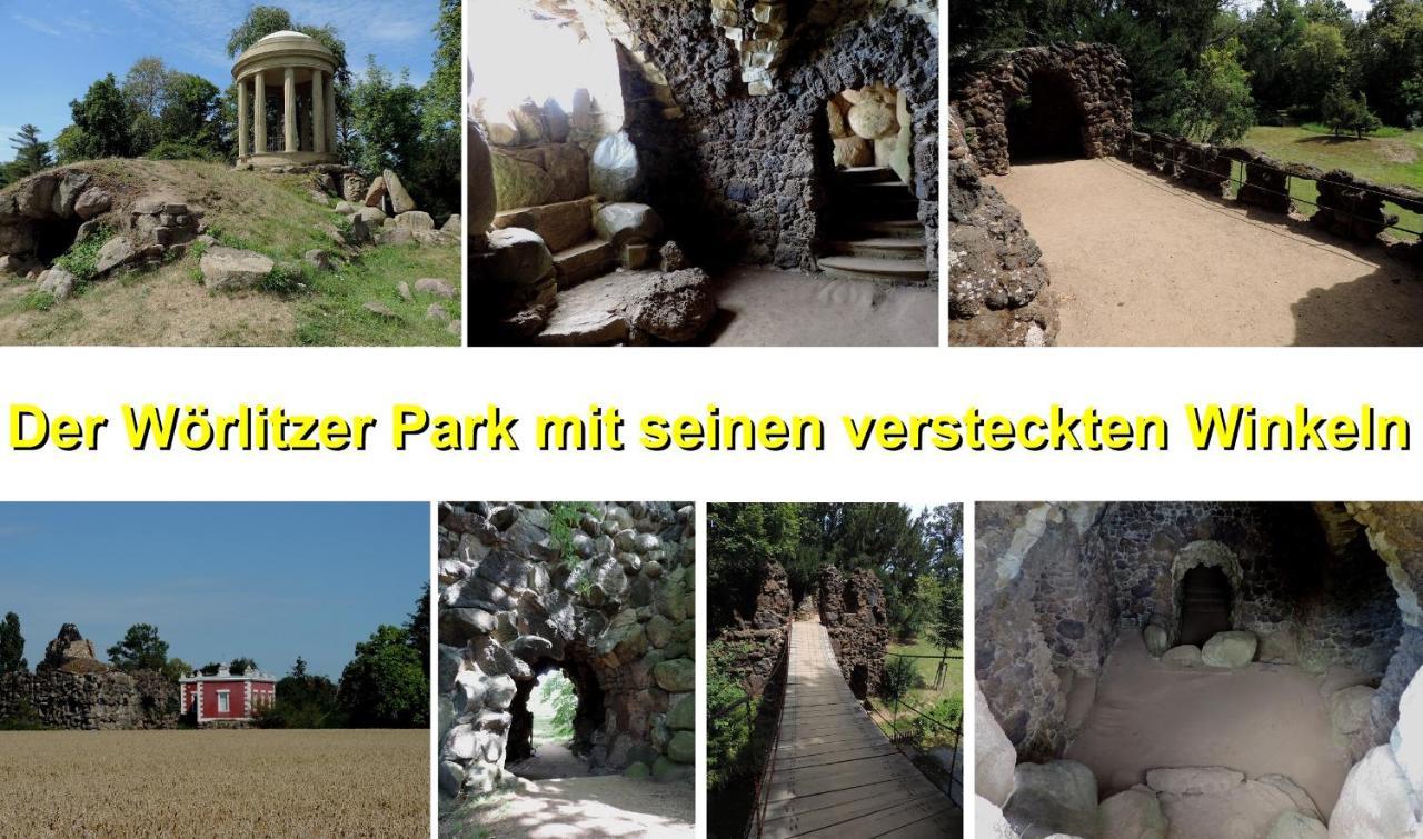 Die Ferienwohnung - Wittenberg An Den Elbwiesen Екстериор снимка