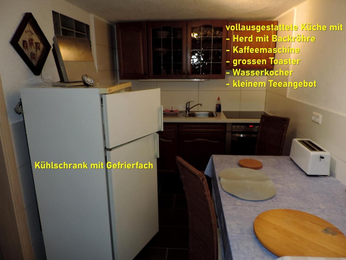 Die Ferienwohnung - Wittenberg An Den Elbwiesen Екстериор снимка