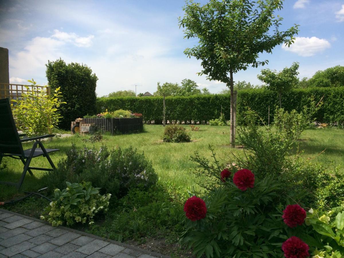 Die Ferienwohnung - Wittenberg An Den Elbwiesen Екстериор снимка