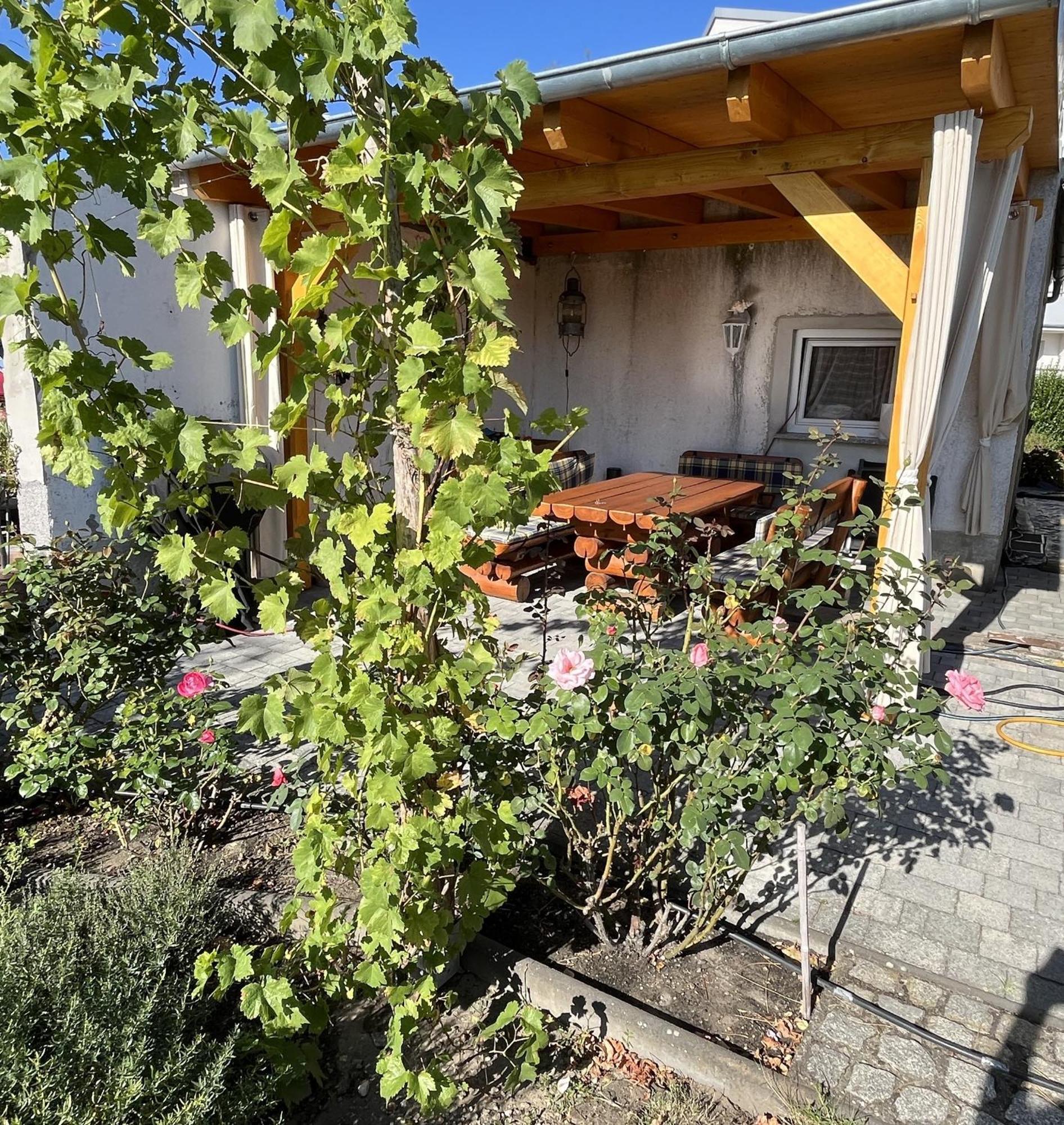 Die Ferienwohnung - Wittenberg An Den Elbwiesen Екстериор снимка