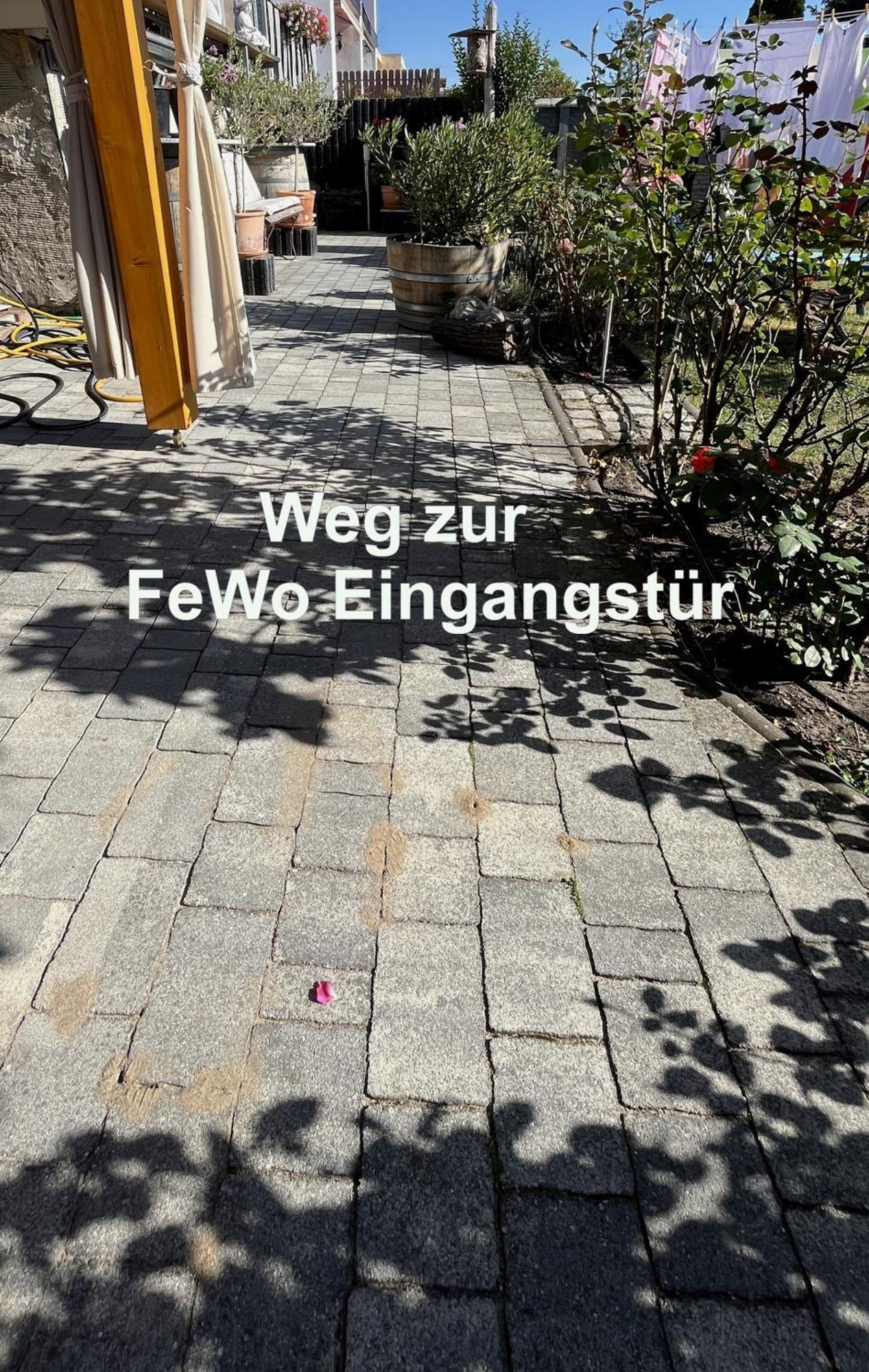 Die Ferienwohnung - Wittenberg An Den Elbwiesen Екстериор снимка